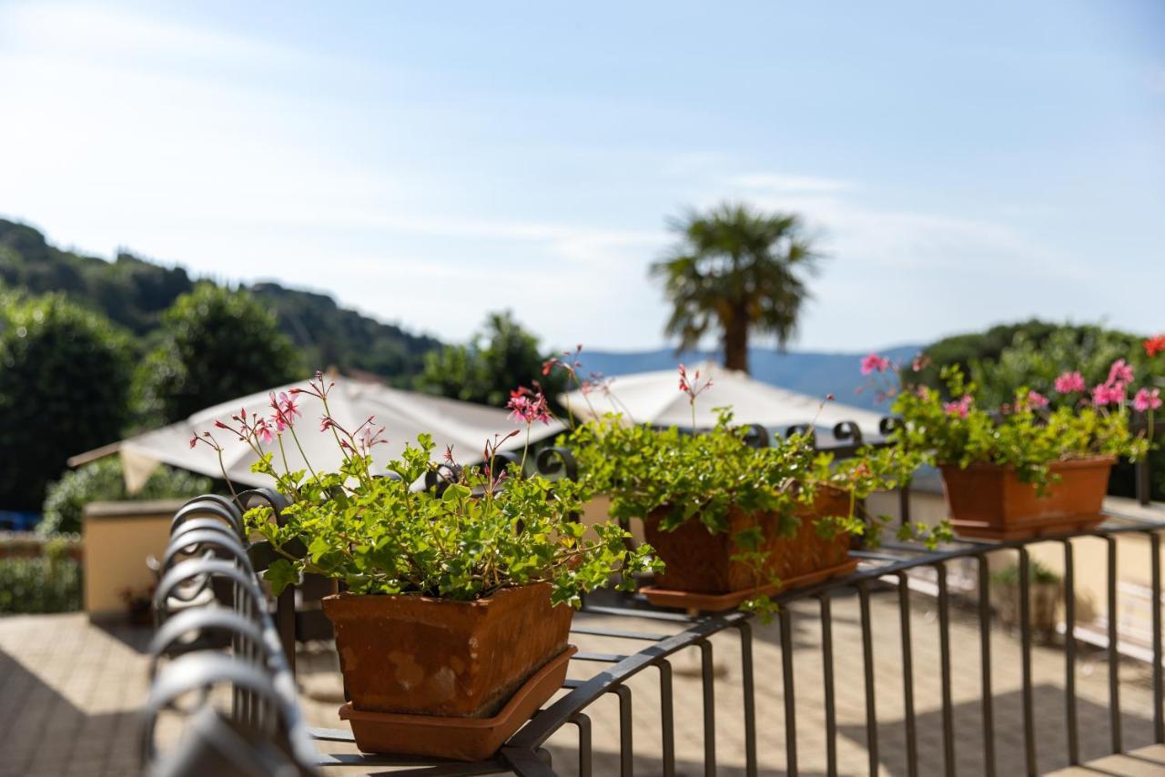 Villa Santa Margherita - B&B كورتونا المظهر الخارجي الصورة