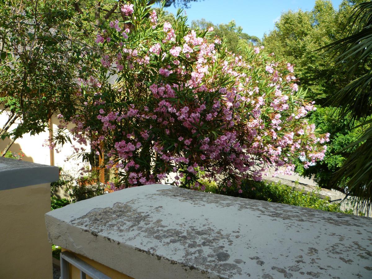 Villa Santa Margherita - B&B كورتونا المظهر الخارجي الصورة